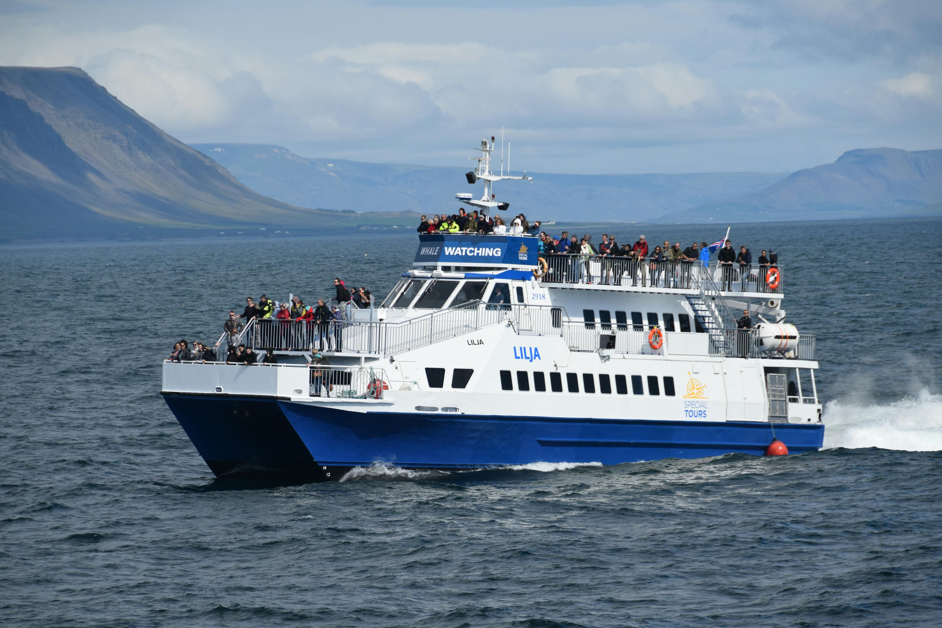 Whale watching express